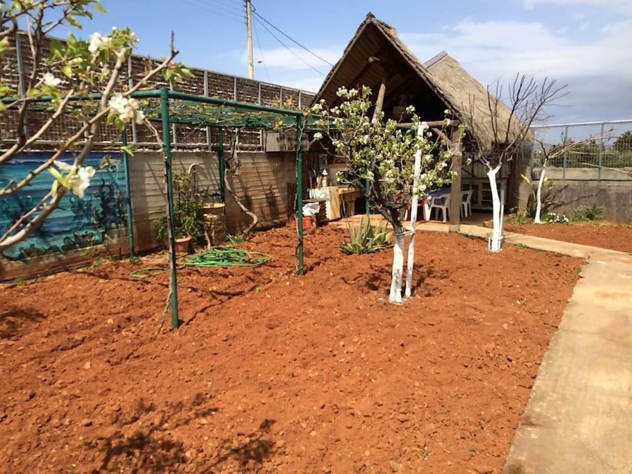 Country Rooms Near Athens - Airport Βραυρώνα Εξωτερικό φωτογραφία