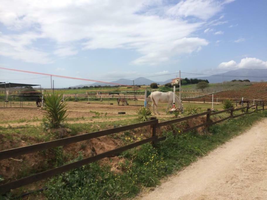 Country Rooms Near Athens - Airport Βραυρώνα Εξωτερικό φωτογραφία