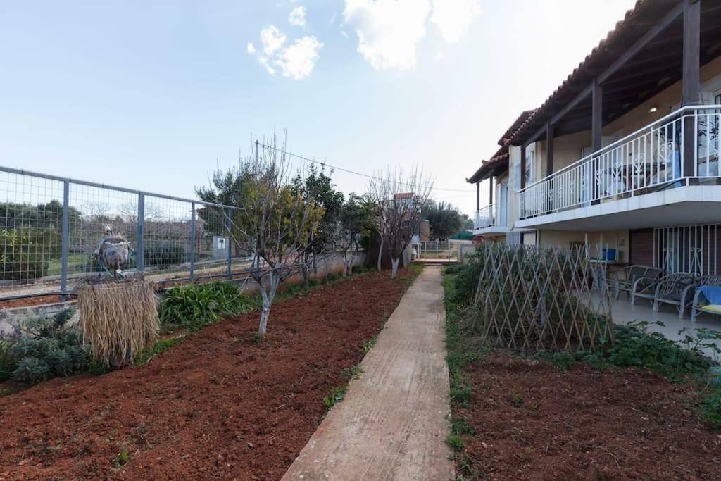 Country Rooms Near Athens - Airport Βραυρώνα Εξωτερικό φωτογραφία