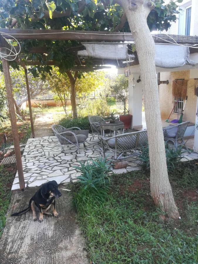 Country Rooms Near Athens - Airport Βραυρώνα Εξωτερικό φωτογραφία